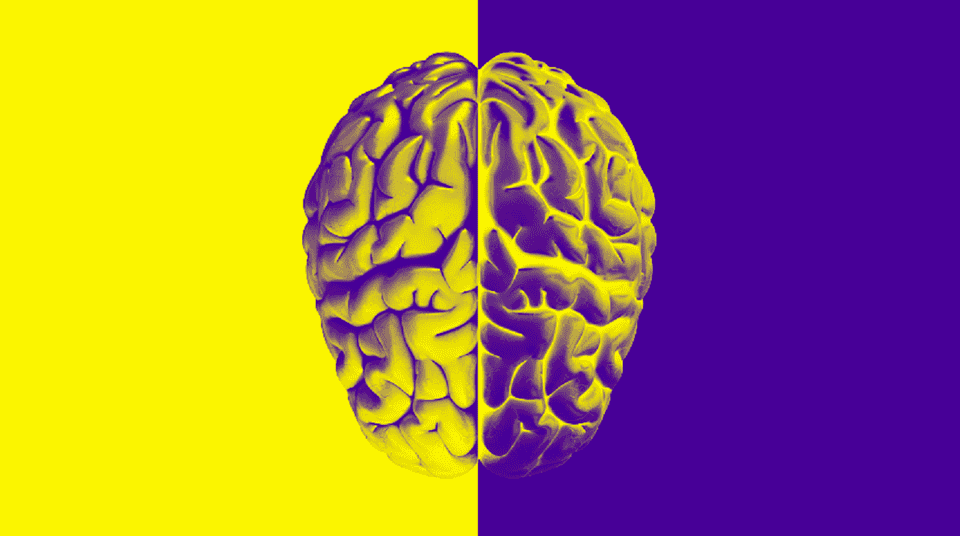 brain banner